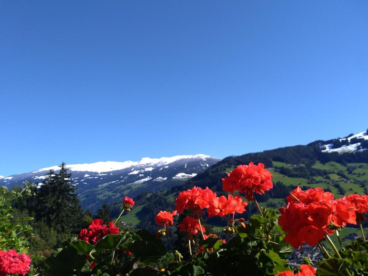 Zillertal Mit Traumausblick - Haus Kirchler Apartment Hippach